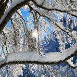 01-Januar-14-Reha-Ogau-Dezember-2023.jpg