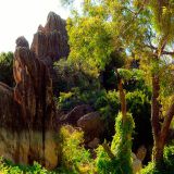 0265-Geiki-Gorge.jpg