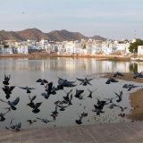 0334-Pushkar.jpg