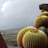 114-Kaktusgarten-Lanzarote-Nov.-2016.jpg