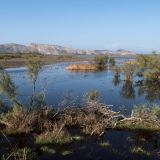 1175-Lagune-bei-Kalogria,-Griechenlandreise-1.Sept-15.Okt-2019-Kopie.jpg