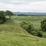 131--Spaziergang-bei-Walltown-auf-Hadrians-Wall-England-2016.jpg