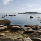 1441-Palmeira-(Riveira)NW-Kueste.jpg
