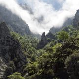 1544-Picos-de-Europa.jpg