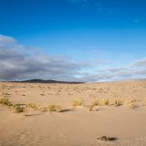 161-Fahrt-nach-Lüderitz,Namibia-Juni-Juli-2025.jpg