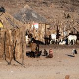 469-Spitzkoppe-nach--Etoscha,-Namibia-Juni-Juli-2025.jpg