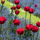 63-Canterbury-England-2019.jpg