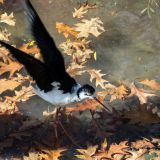 06-Zoo-Oktober-2022.jpg