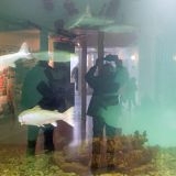 1011-Aquarium-Kabelvag,-Lofoten,-Norwegen,-Skandinavienreise-2018-.jpg