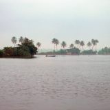 1061-auf-dem-Hausboot, Kerala.jpg
