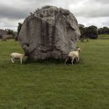 209-Avebury.jpg