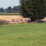 227-Radln-zum-Tister-Bauernmoor-Tostedt-Deutschlandreise-September-2020-.jpg