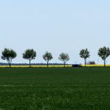 54-Fahrt-zum-Oder-NP,-Deutschlandreise-Mai-2022.jpg