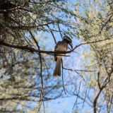 659-Okapuka-Safari-Lodge-Namibia-Juni-Juli-2025.jpg