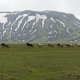 660-2-Piste-Landmannalaugar.jpg