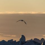 925-v-Ilulissat-auf-dem-Boot.jpg