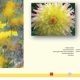 Blumen-Farbkreis-Doppel-1.jpg