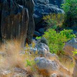 0246-Fitzroy-Crossing.jpg