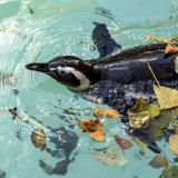 04-Zoo-Nov-2019.jpg