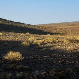 110-zum-Fishriver-Canyon,Namibia-Juni-Juli-2025.jpg