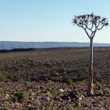 119--Fishriver-Canyon,Namibia-Juni-Juli-2025.jpg