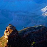 130-Grand-Canyon.jpg