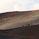 260-Kamelparkplatz-Lanzarote-Nov.-2016.jpg