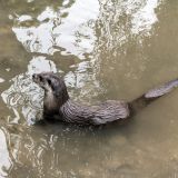 39-Zoo-Augsburg-August-2019.jpg