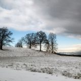 46-Heimfahrt-Ogau-Jan-2020.jpg