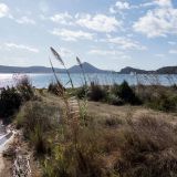 948-bei-Lagune-Gialova,-Griechenlandreise-1.Sept-15.Okt-2019.jpg