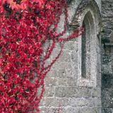 639-2-Stourhead-Gardens-England-2015.jpg