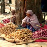 0599-Bundi.jpg