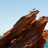 0666-Broome.jpg