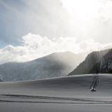 10-Ogau-Januar-2017.jpg