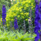 1175-Hidcote-Manor-Gardens-England-2019.jpg