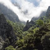 1544-Wanderung-bei-Cain,-Picos-de-Europa,-Spanien,-Portugal-2017.jpg