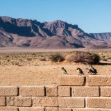 306-Desert-Camp,-Namibia-Juni-Juli-2025.jpg