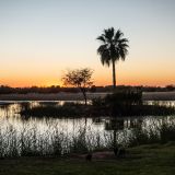 49-Lapa-Lange-Lodge-,Namibia-Juni-Juli-2025.jpg