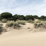 602-Parque-Nacional-de-Donana.jpg