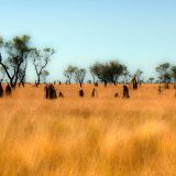 0123-Broome-Derby.jpg