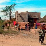 0158-Bikaner-bis-Jaisalmer.jpg