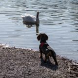 02-Franzi-am-Kuhsee-Okt.-2019.jpg