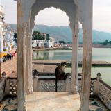 0320-Pushkar.jpg