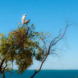 0598-Cape-Leveque.jpg
