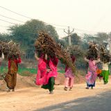 0847-Jaipur-Agra.jpg