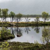 1052-Sortland-Richtung-Andernes,-Vesteralen,-Norwegen,-Skandinavienreise-2018-.jpg