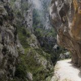 1533-Picos-de-Europa.jpg