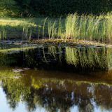 1835-Camping-Piejuras-bei-Engure,-Lettland,-Skandinavienreise-2018.jpg
