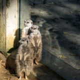 23-Zoo-Okt.-2017.jpg