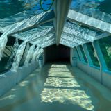 304-Oceanerium-Hirthals-Dänemarkreise-Mai-Juni-.2026.jpg